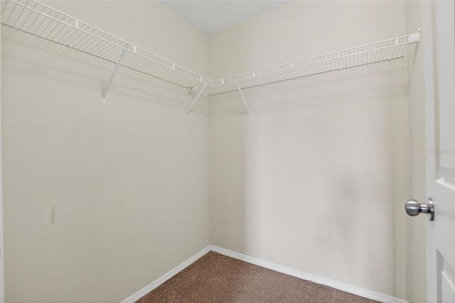 4732 WHITE SANDERLING COURT, Tampa, FL 33619