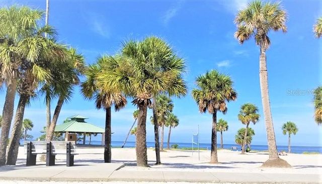 103 E PARK STREET, Tarpon Springs, FL 34689