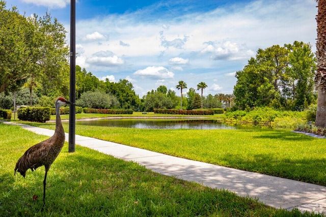 20617 WHITEBUD COURT, Tampa, FL 33647