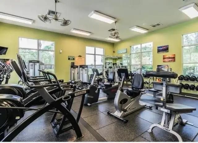 20617 WHITEBUD COURT, Tampa, FL 33647