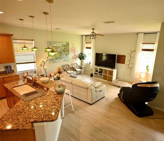 20617 WHITEBUD COURT, Tampa, FL 33647