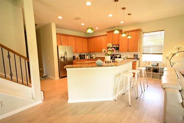 20617 WHITEBUD COURT, Tampa, FL 33647