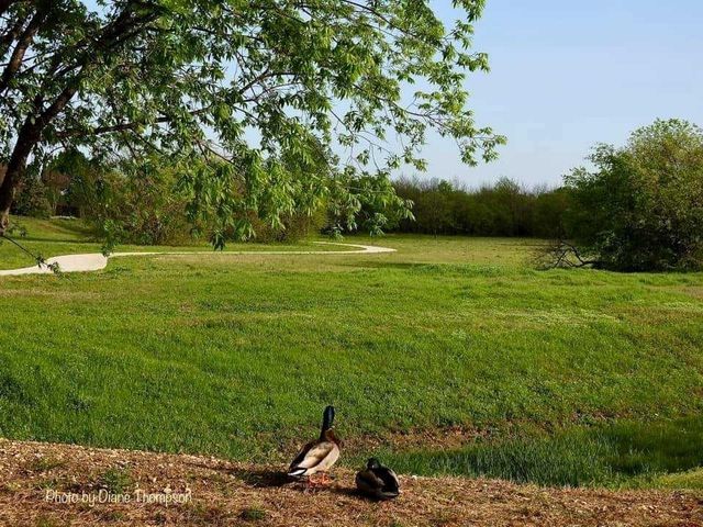 4736 Parkmount Drive, Fort Worth, TX 76137