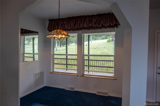 950 Junkins Loop, Westcliffe, CO 81252