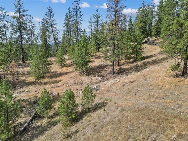 NKA Lower Weaver Way, Deer Park, WA 99006