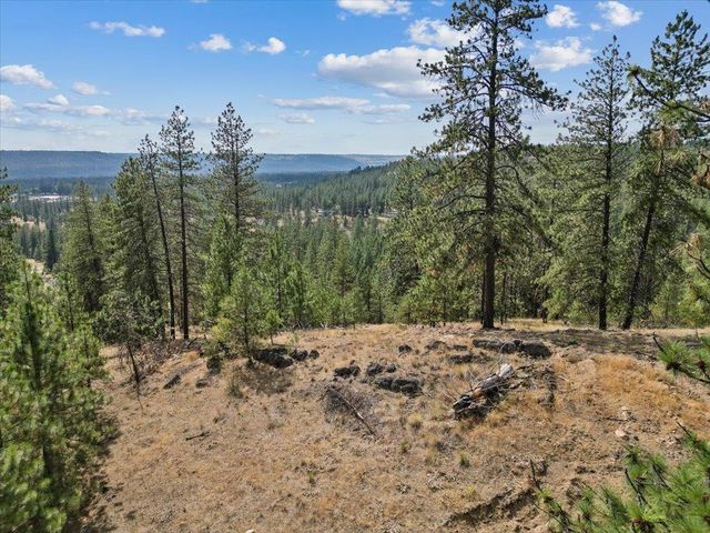 NKA Lower Weaver Way, Deer Park, WA 99006