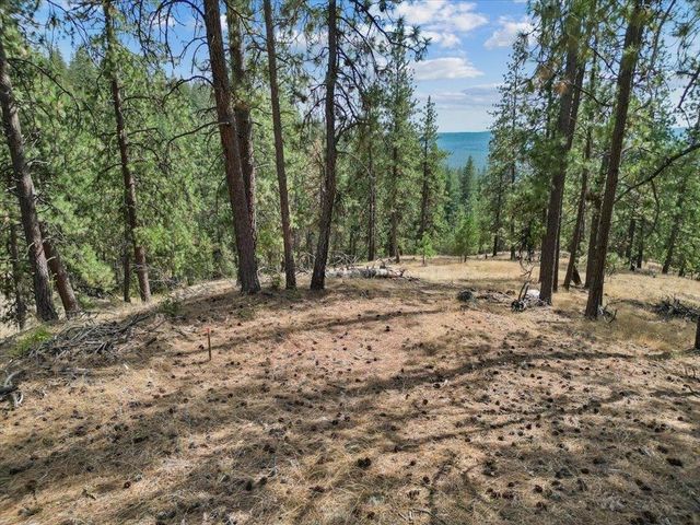 NKA Lower Weaver Way, Deer Park, WA 99006