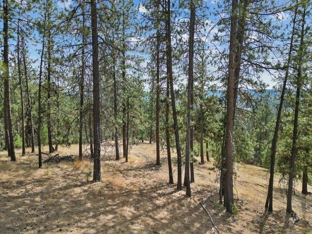 NKA Lower Weaver Way, Deer Park, WA 99006