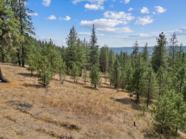 NKA Lower Weaver Way, Deer Park, WA 99006