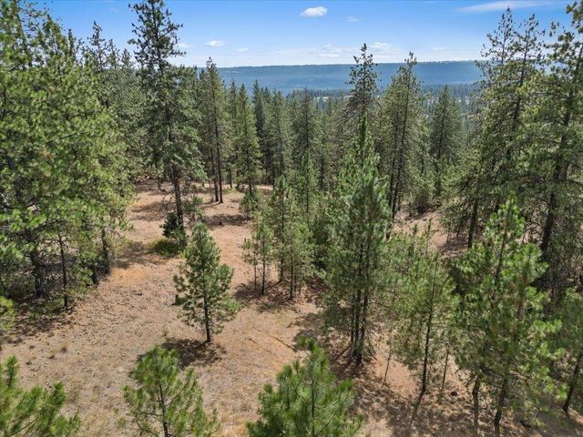 NKA Lower Weaver Way, Deer Park, WA 99006