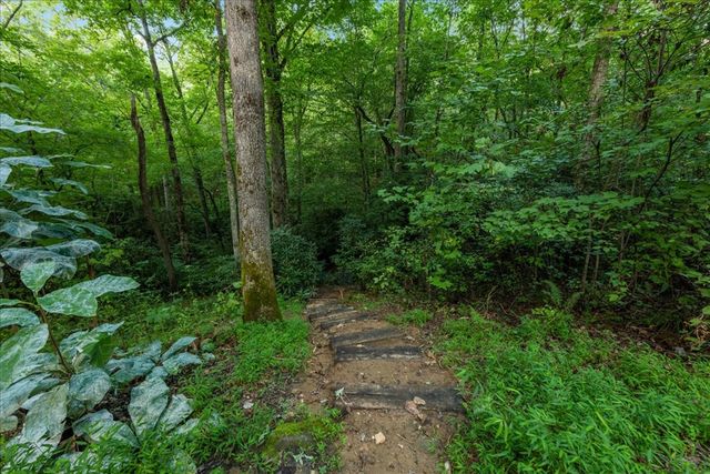 126 Brookwood Drive, Blue Ridge, GA 30513