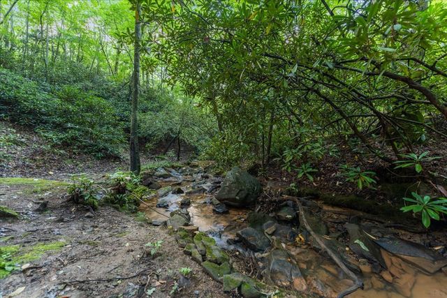 126 Brookwood Drive, Blue Ridge, GA 30513