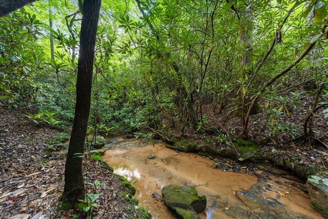 126 Brookwood Drive, Blue Ridge, GA 30513