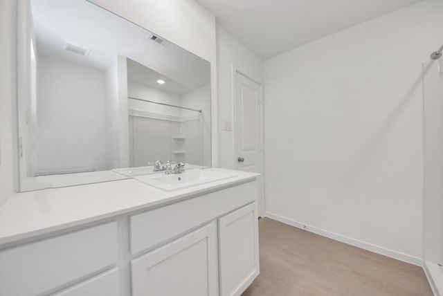 26807 Dalmatian Bellflower Drive, Katy, TX 77493