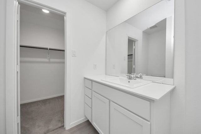 26807 Dalmatian Bellflower Drive, Katy, TX 77493