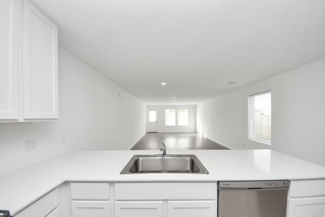 26807 Dalmatian Bellflower Drive, Katy, TX 77493