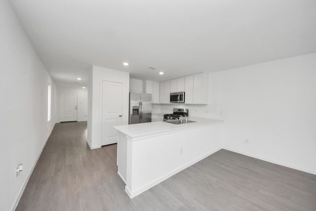 26807 Dalmatian Bellflower Drive, Katy, TX 77493