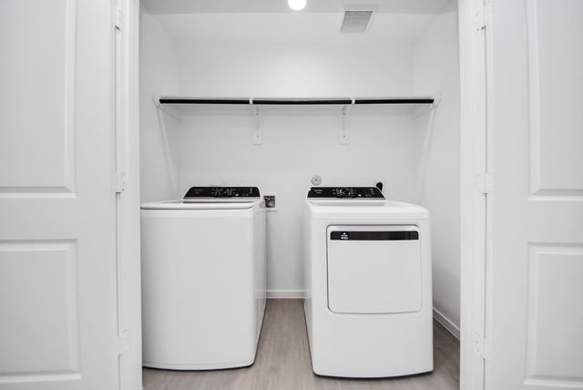 26807 Dalmatian Bellflower Drive, Katy, TX 77493