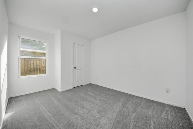 26807 Dalmatian Bellflower Drive, Katy, TX 77493