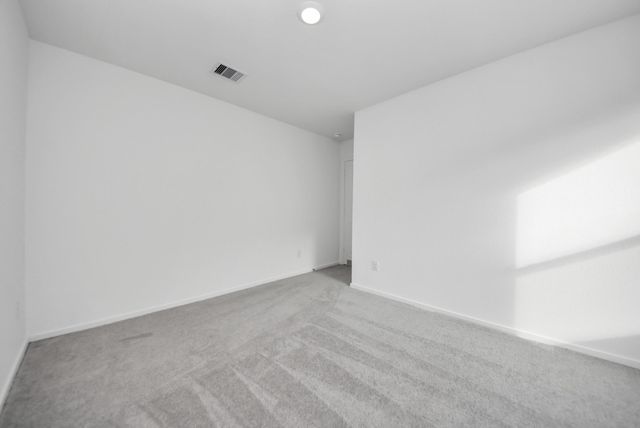 26807 Dalmatian Bellflower Drive, Katy, TX 77493