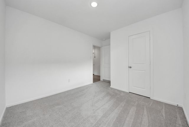 26807 Dalmatian Bellflower Drive, Katy, TX 77493