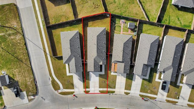 26807 Dalmatian Bellflower Drive, Katy, TX 77493