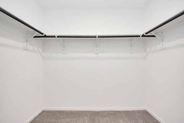 26807 Dalmatian Bellflower Drive, Katy, TX 77493