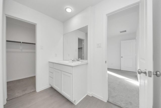 26807 Dalmatian Bellflower Drive, Katy, TX 77493