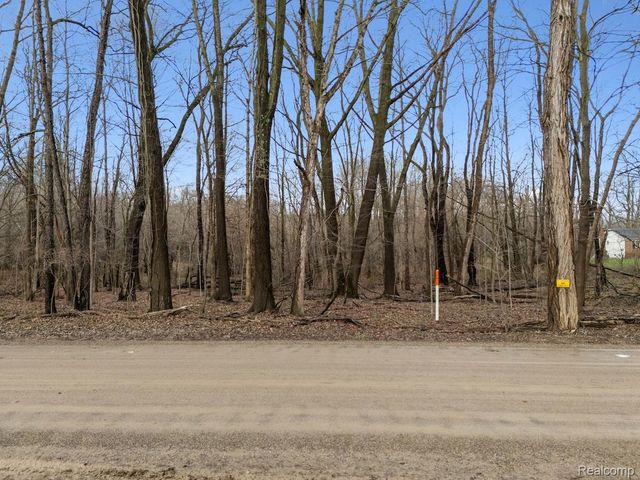 VL Pingree Road, Marion Township, MI 48843