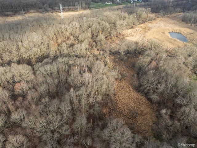 VL Pingree Road, Marion Township, MI 48843