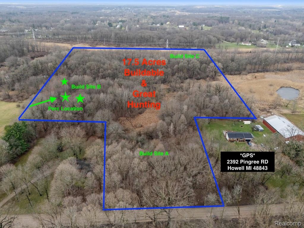 VL Pingree Road, Marion Township, MI 48843