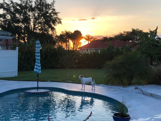 15925 Springhill Court, Wellington, FL 33414