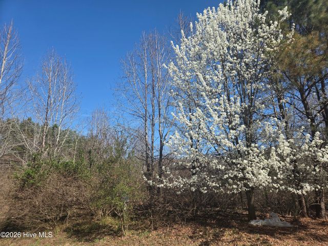 232 Winfall Circle, Edenton, NC 27932