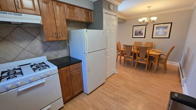 5310 N Chester Avenue 223, Chicago, IL 60656