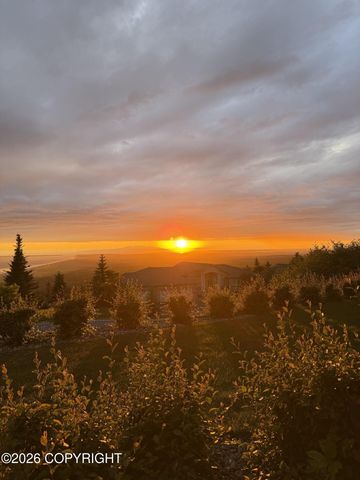 17041 Briarcliff Pointe Circle, Anchorage, AK 99516