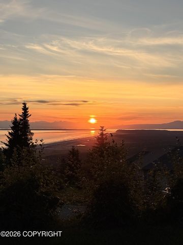 17041 Briarcliff Pointe Circle, Anchorage, AK 99516