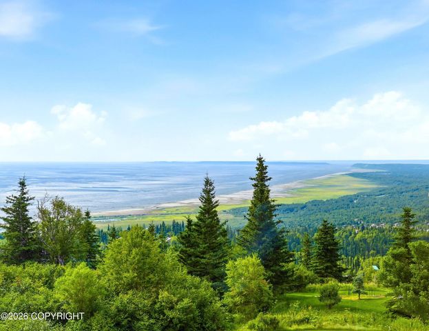 17041 Briarcliff Pointe Circle, Anchorage, AK 99516