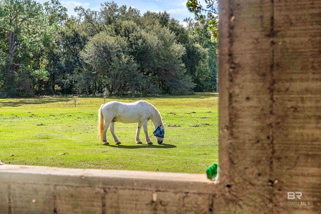 22506 Doc Mcduffie Road, Foley, AL 36535