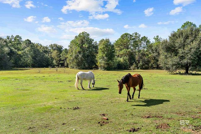 22506 Doc Mcduffie Road, Foley, AL 36535