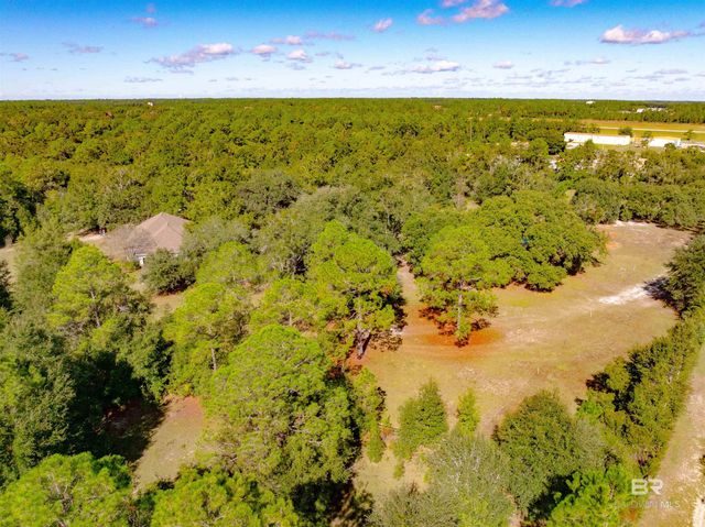 22506 Doc Mcduffie Road, Foley, AL 36535