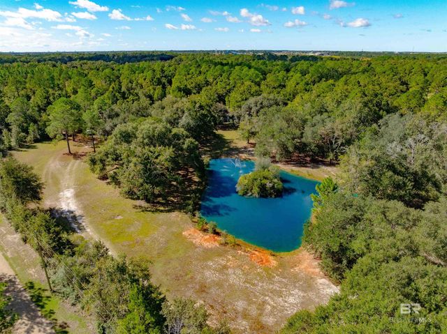 22506 Doc Mcduffie Road, Foley, AL 36535