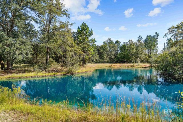 22506 Doc Mcduffie Road, Foley, AL 36535