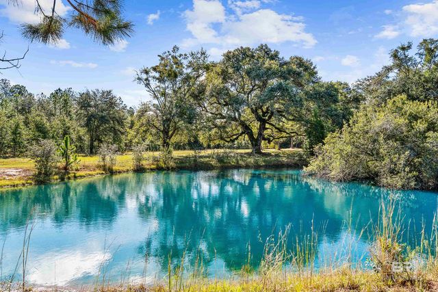 22506 Doc Mcduffie Road, Foley, AL 36535