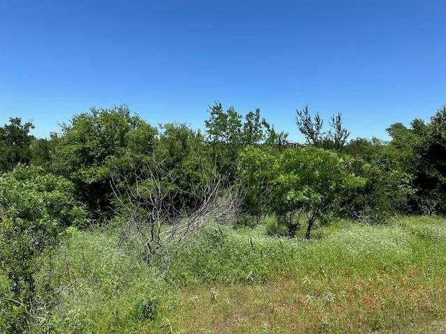 Lot 623 Caprock Court, Graford, TX 76449