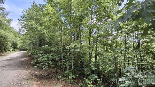 Lot 29 Signal Ridge Road 29, Sylva, NC 28779