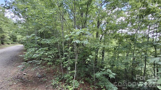 Lot 29 Signal Ridge Road 29, Sylva, NC 28779