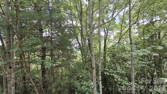 Lot 29 Signal Ridge Road 29, Sylva, NC 28779