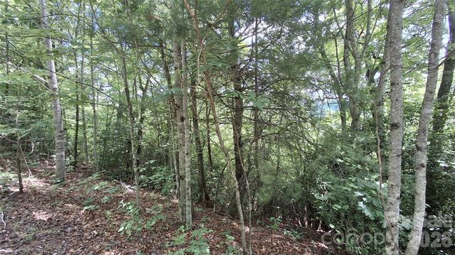 Lot 29 Signal Ridge Road 29, Sylva, NC 28779