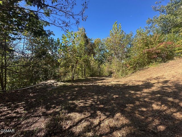 361 Oakwood Drive, Sevierville, TN 37876