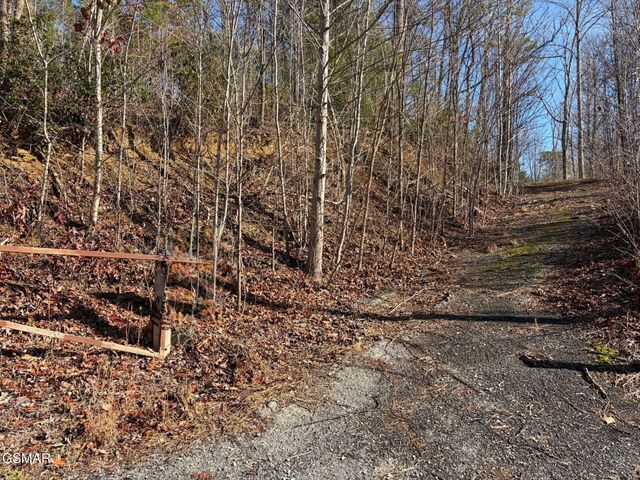 361 Oakwood Drive, Sevierville, TN 37876